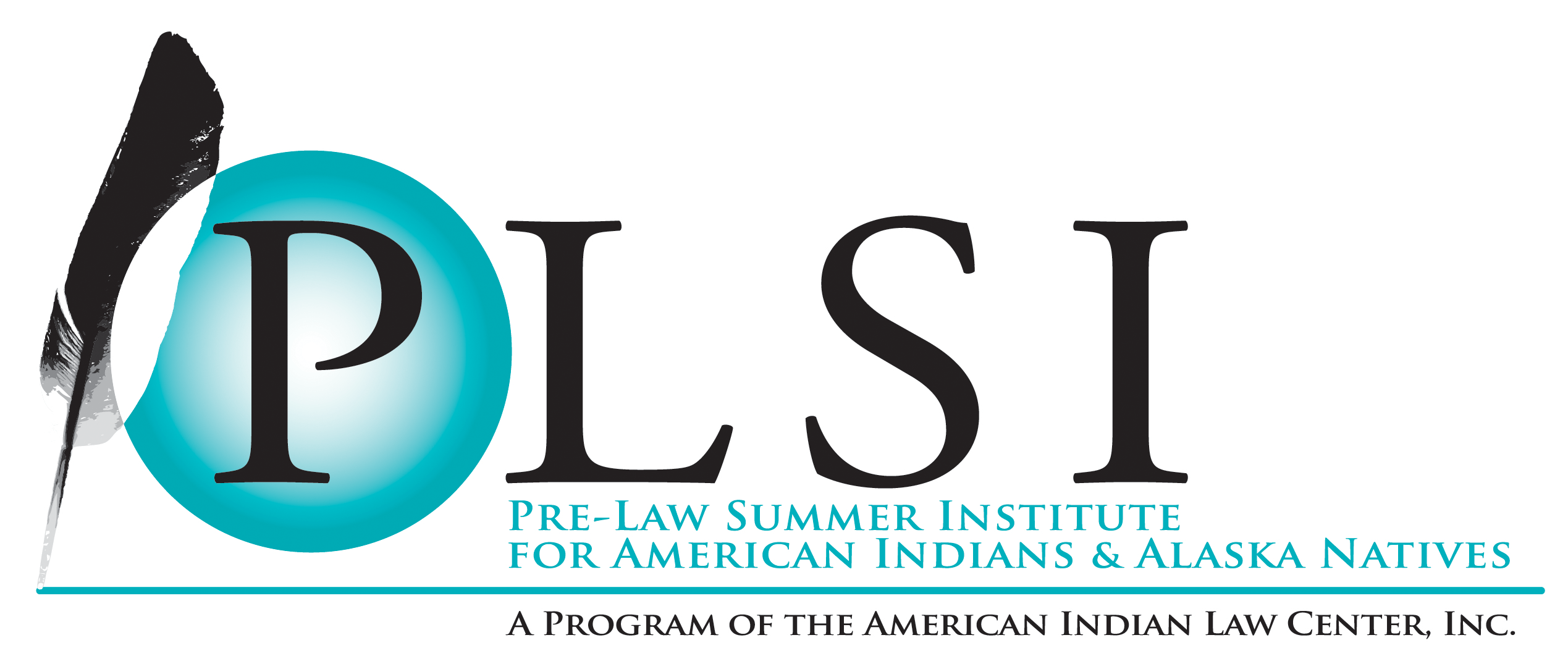 PLSI_logo_web_300dpi